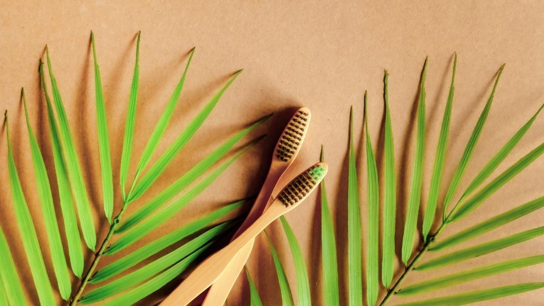 Riciclo creativo degli spazzolini bamboo