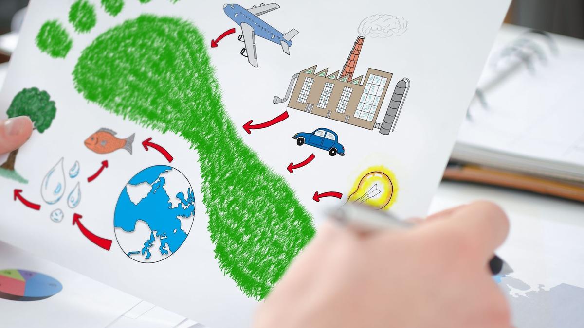 calcolare la carbon footprint